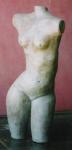 Female Torso